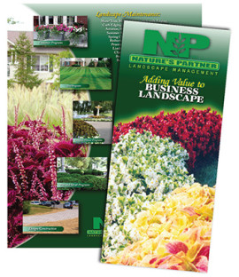 Nature's Partner Corporate Stationery